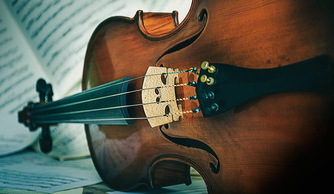 Viola Viola